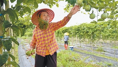 民生福祉达到新水平（新时代画卷·决战决胜“十四五”）