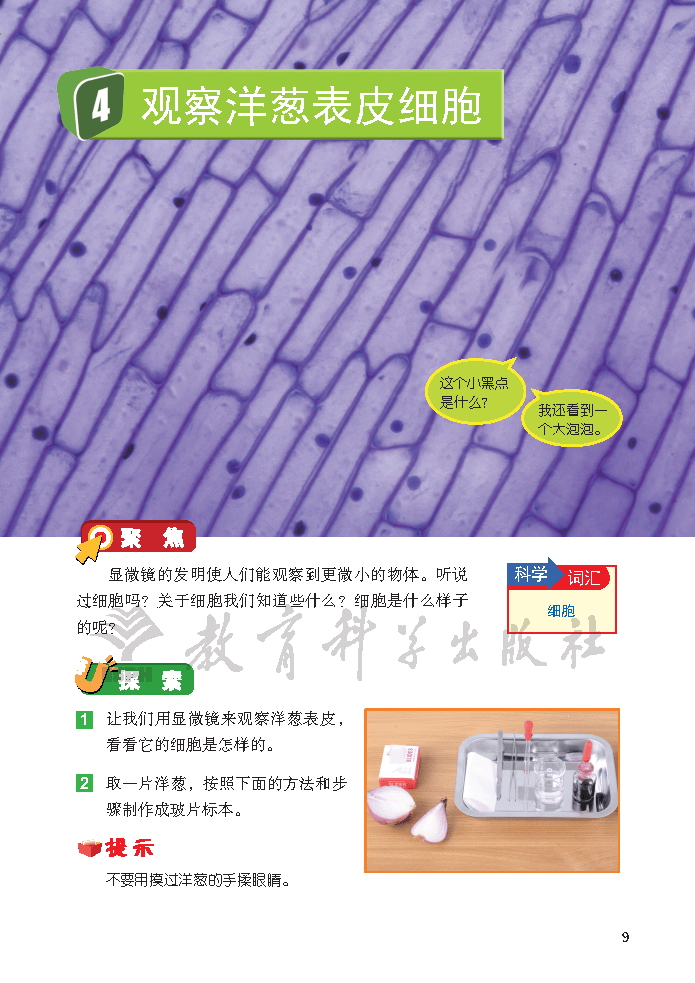 义务教育教科书·科学六年级上册_Page15.png