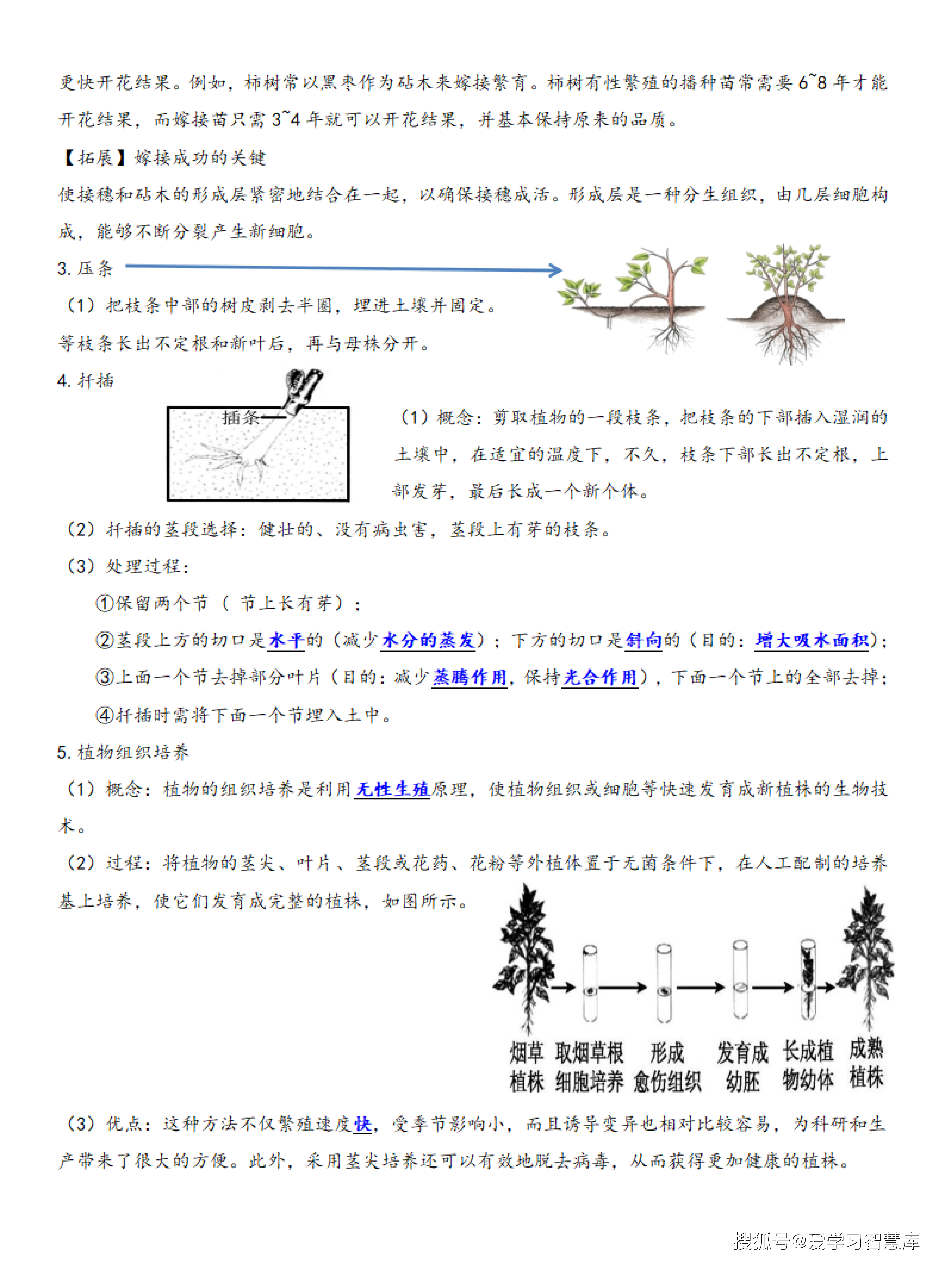 八下【生物】人教 知识点总结 - 背诵版_02.png