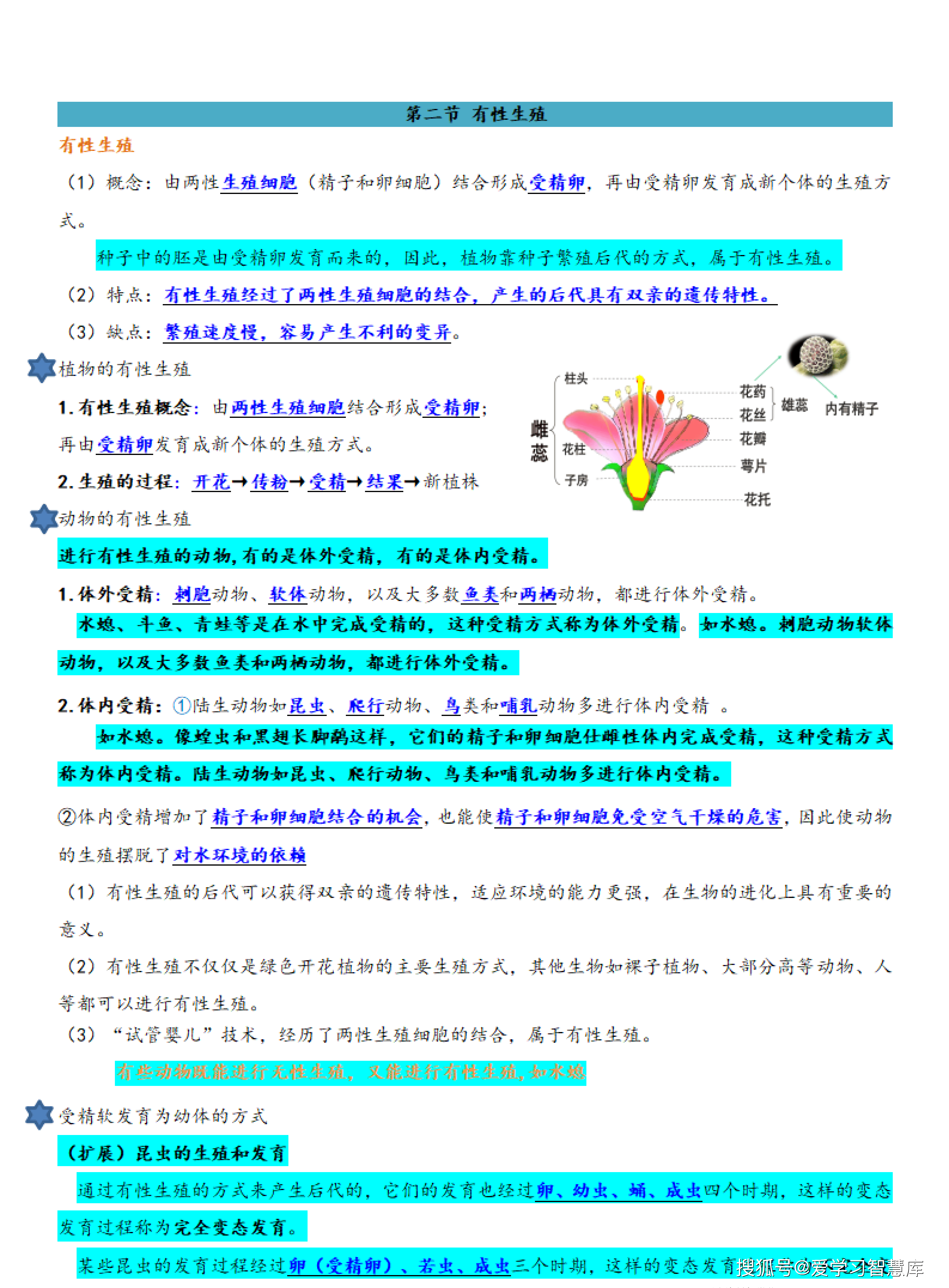 八下【生物】人教 知识点总结 - 背诵版_03.png