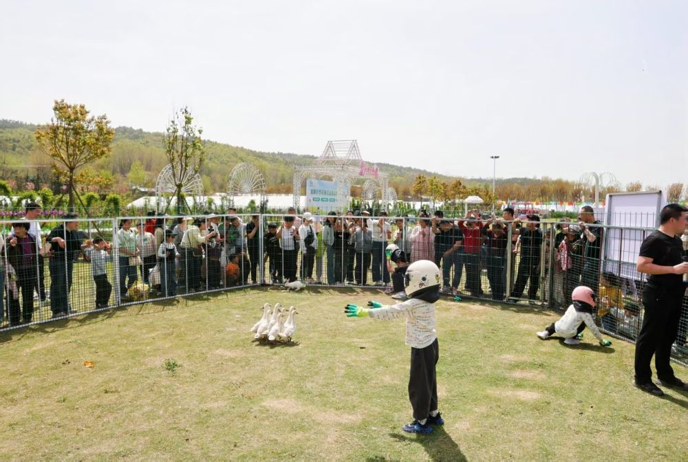 襄阳市襄城区卧龙镇朝阳村“卧龙月季花海”举办的春季趣味活动。新华社发