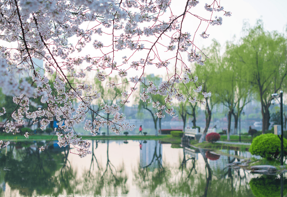 微信图片_20230203103206.png