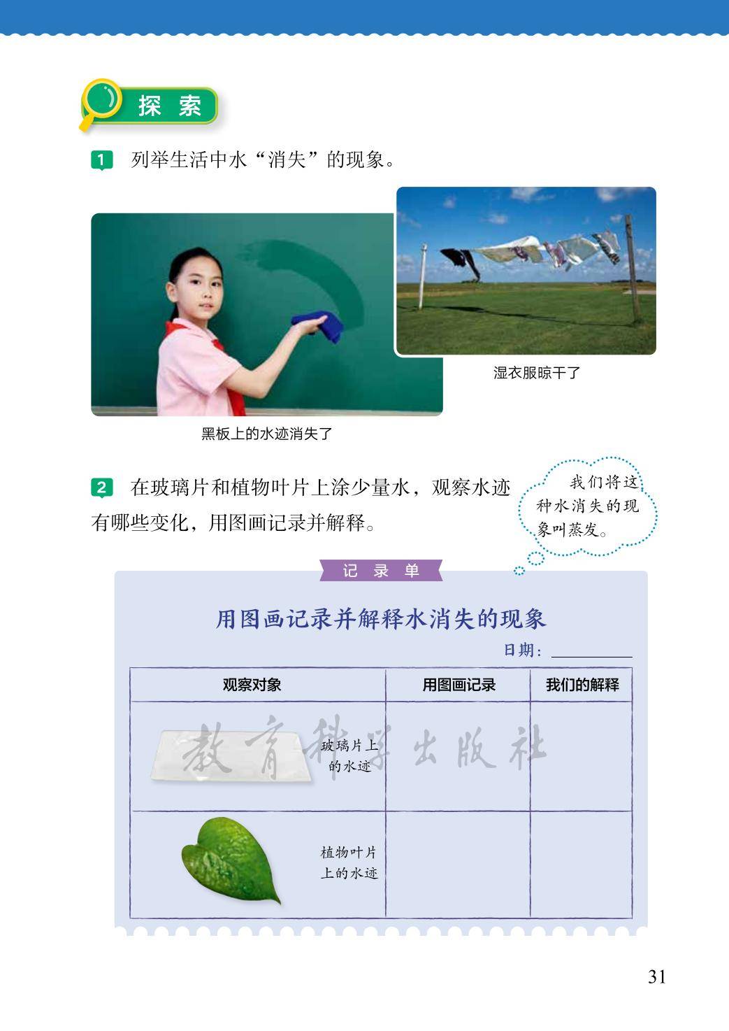 3年级科学上册教科版26秋新课本-逐页转图片-00039.jpg