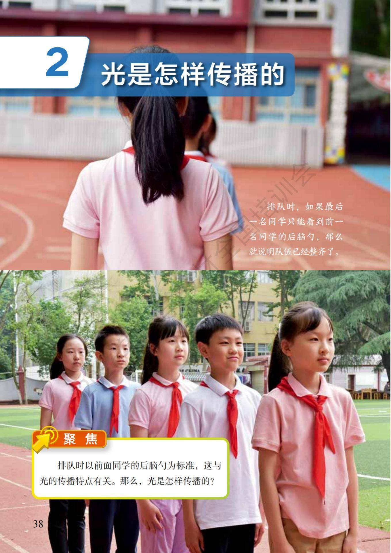 6年级科学上册教科版26秋新课本-逐页转图片-00042.jpg
