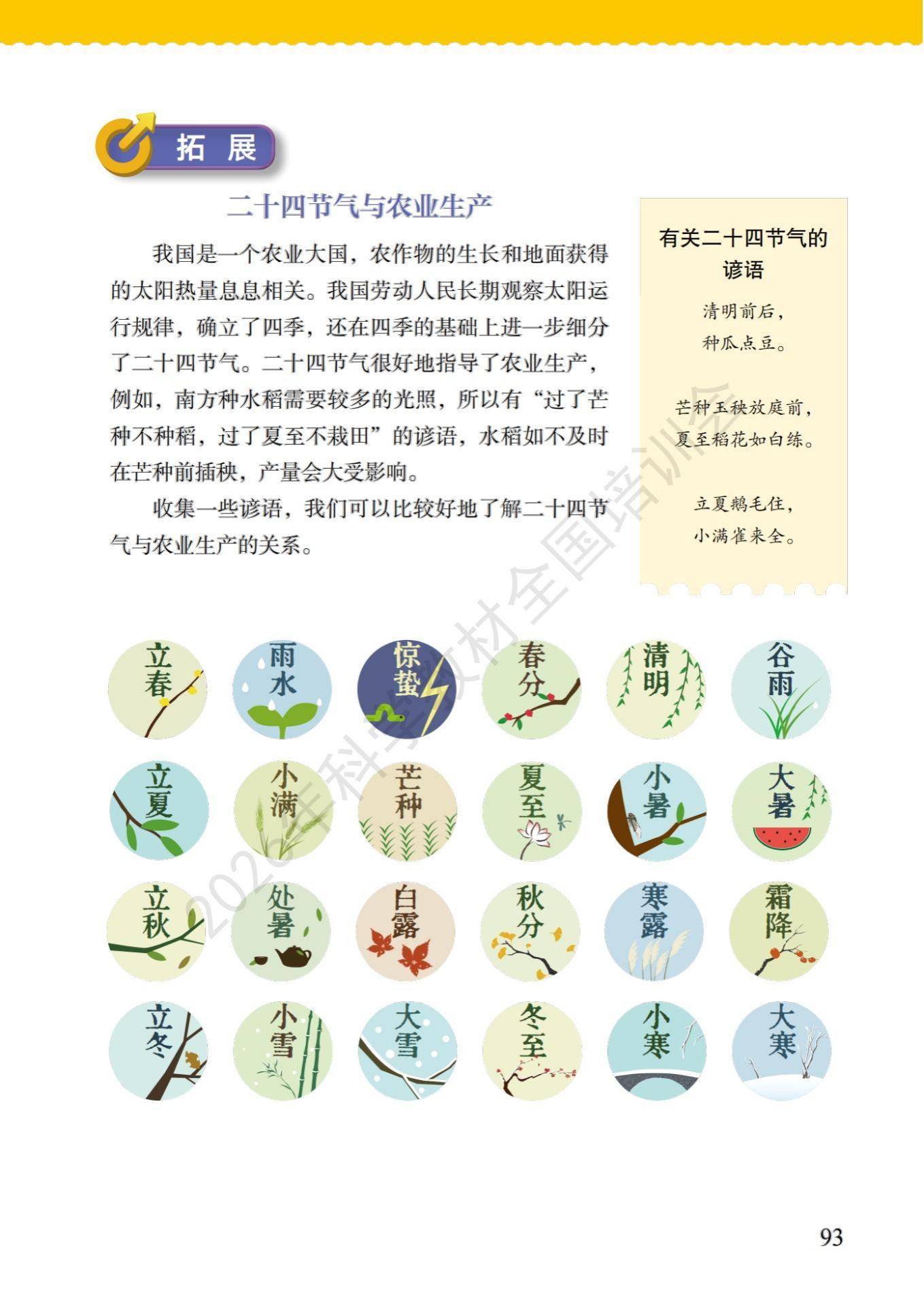 6年级科学上册教科版26秋新课本-逐页转图片-00100.jpg