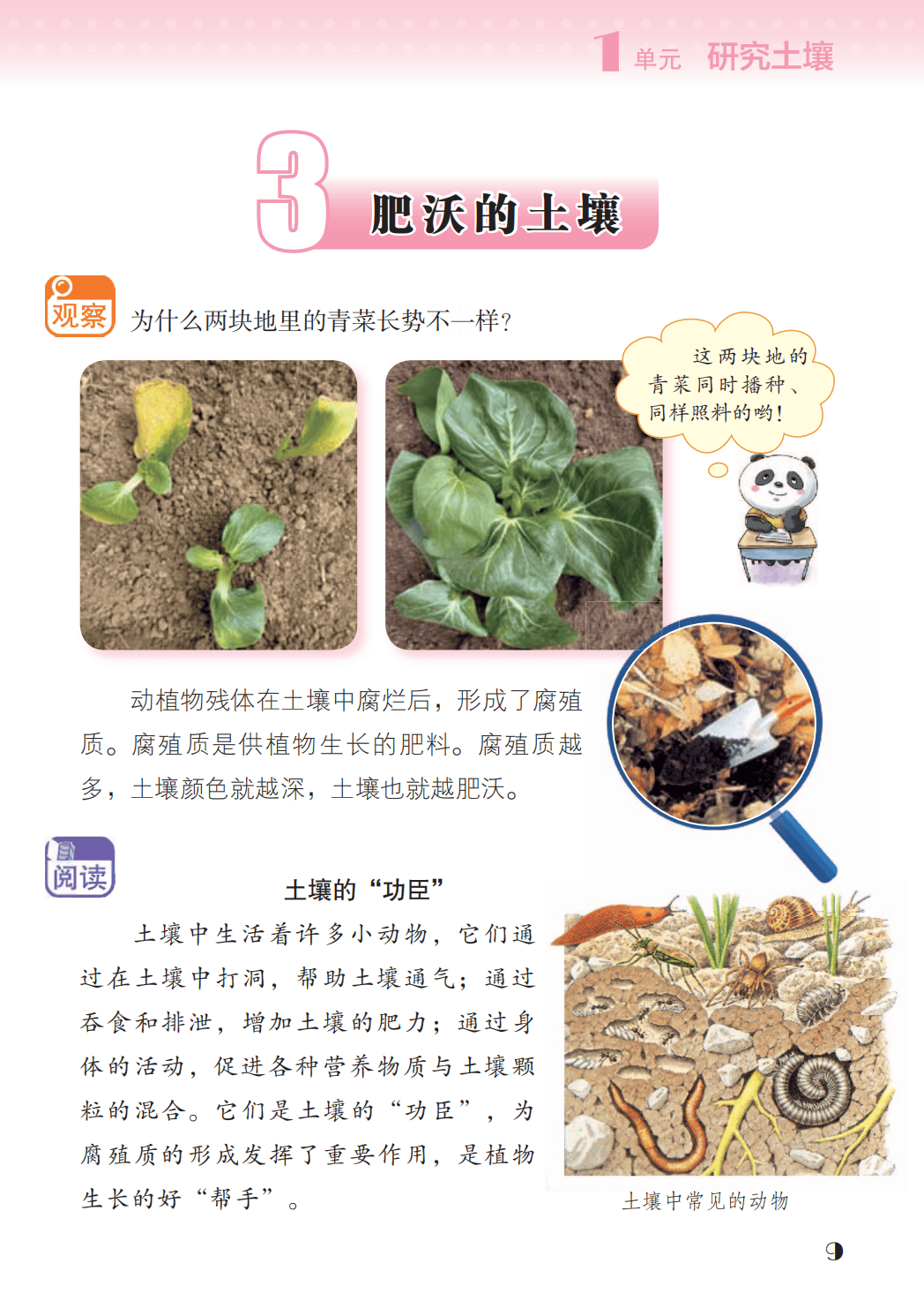 最新【苏教版】3年级科学课本•上册_17.png