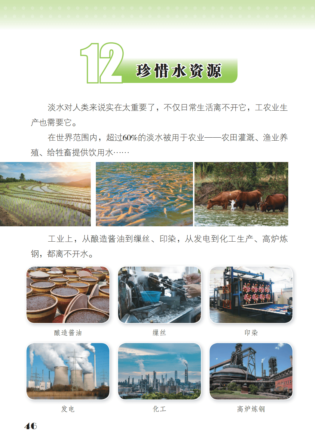 最新【苏教版】3年级科学课本•上册_54.png