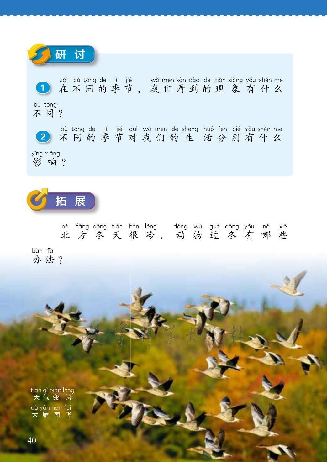 2年级科学上册教科版26秋新课本-逐页转图片-00048.jpg