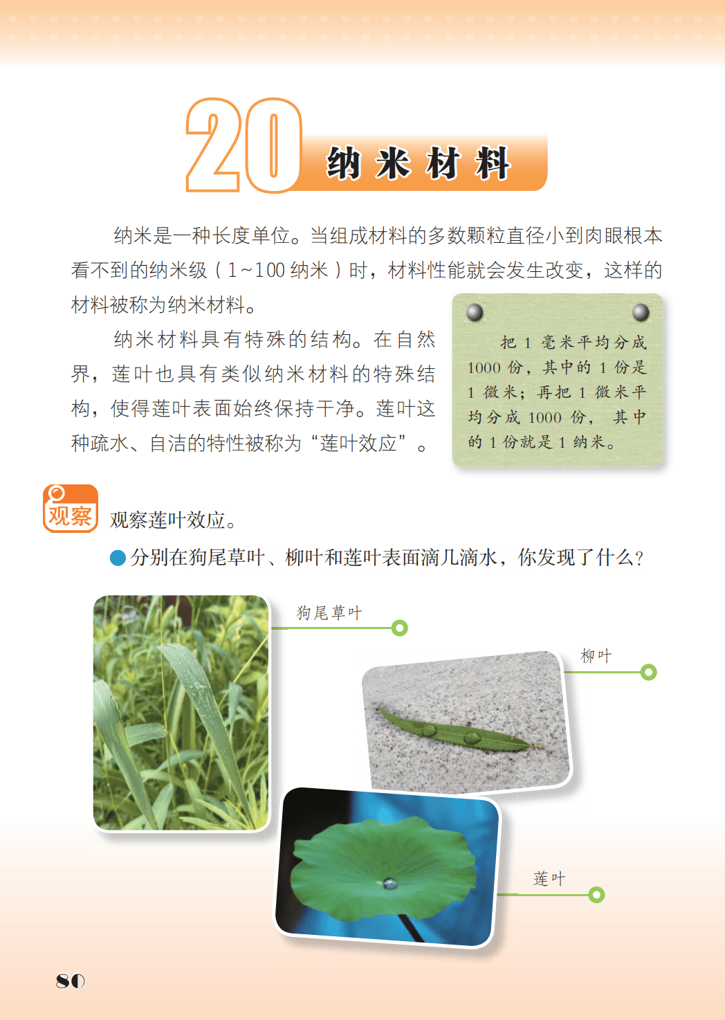 最新【苏教版】3年级科学课本•上册_88.png