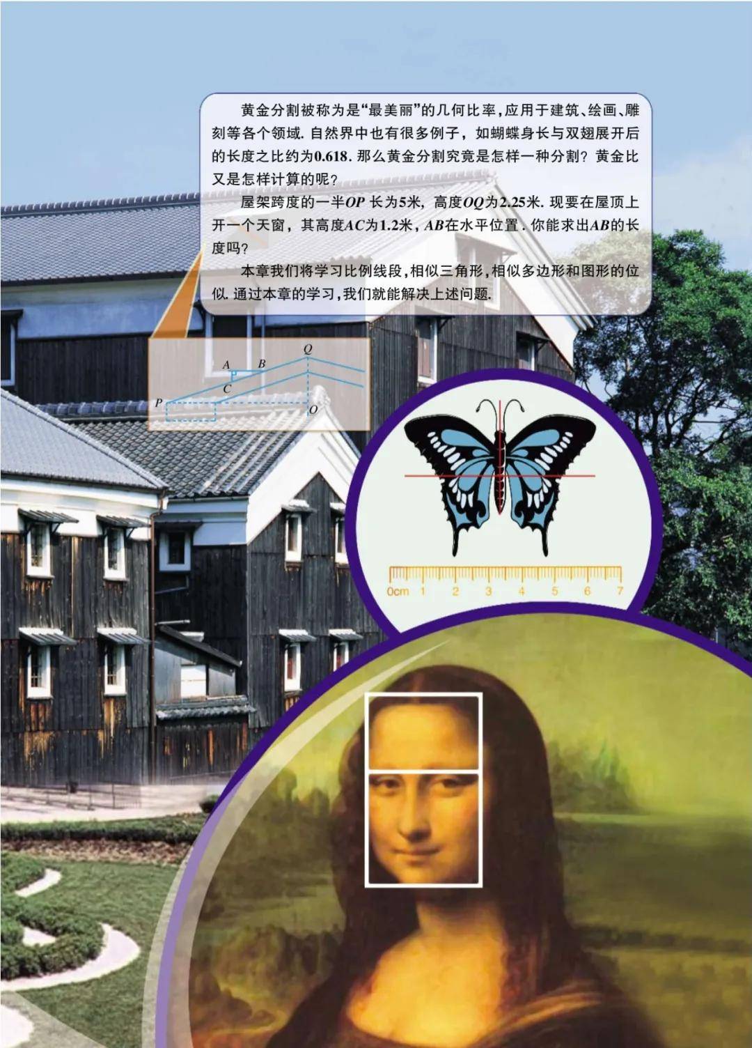 文章配图-113