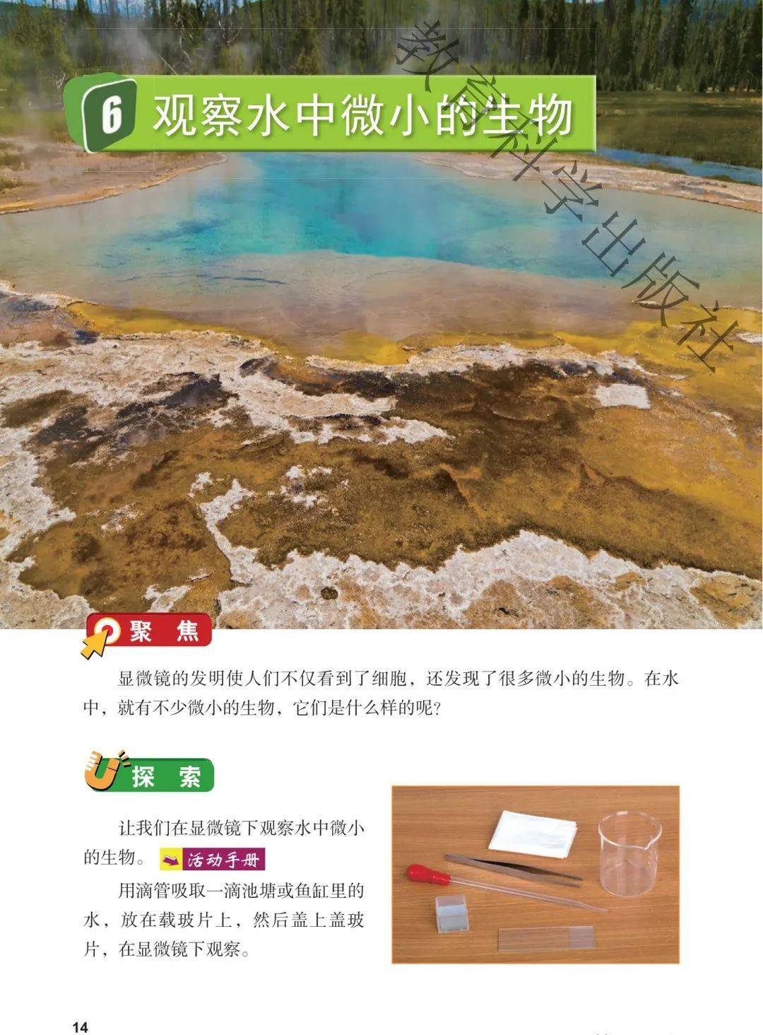 文章配图-15