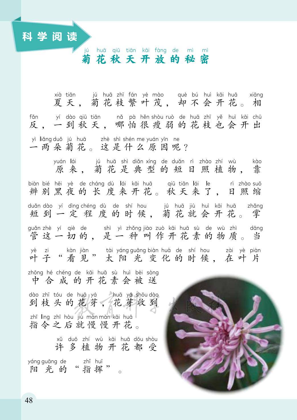 2年级科学上册教科版26秋新课本-逐页转图片-00056.jpg