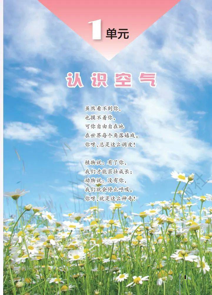 文章配图-2