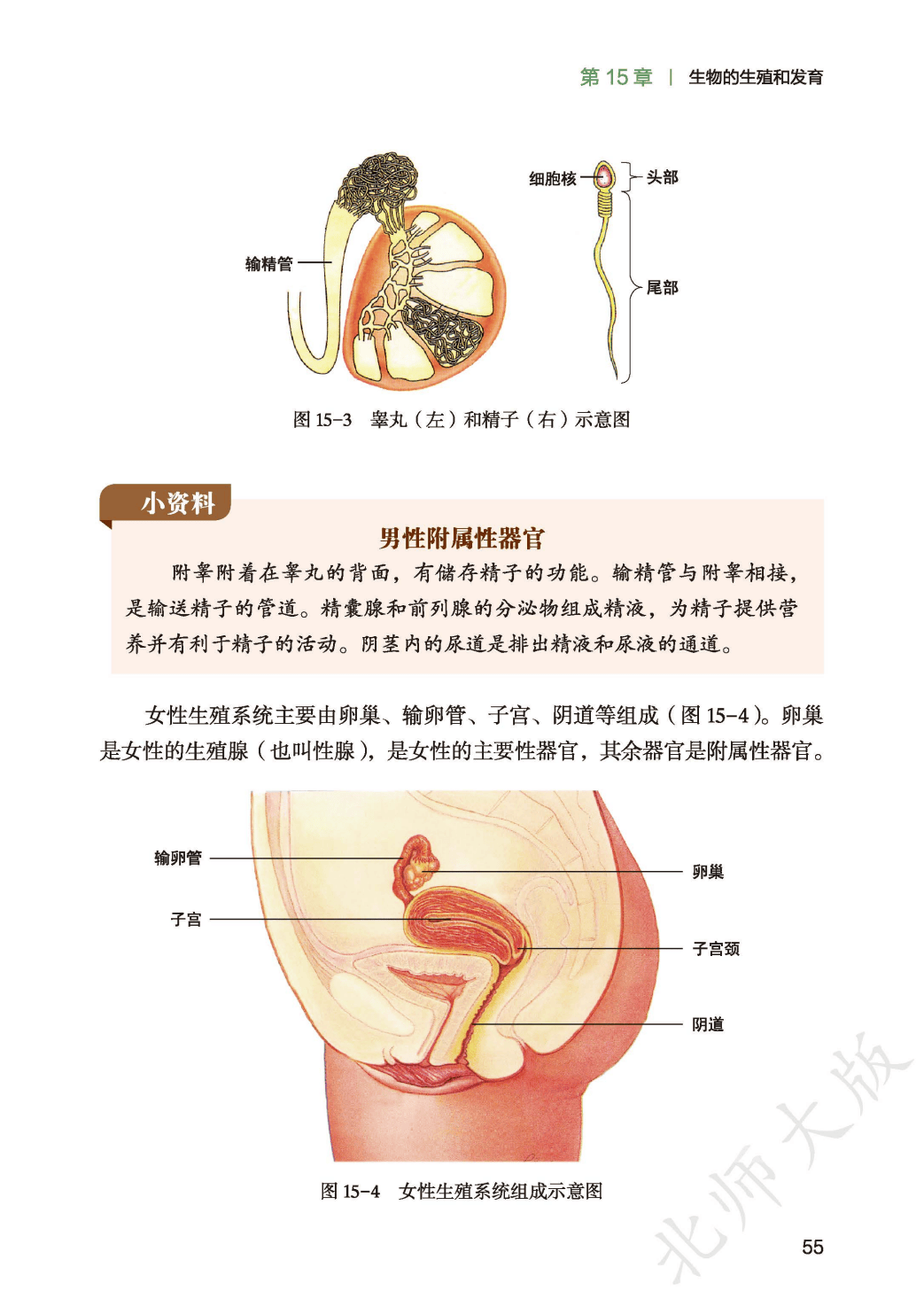文章配图-1
