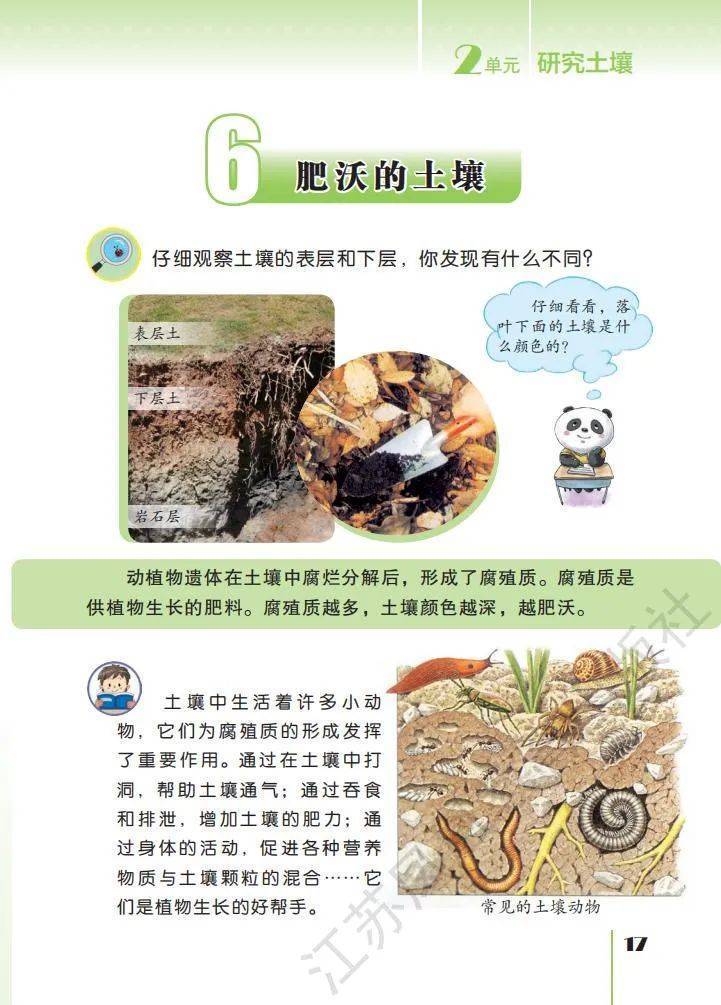 文章配图-15
