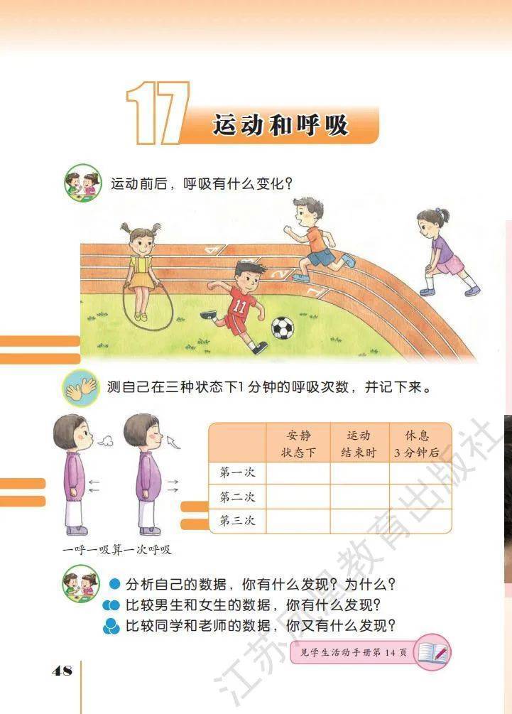 文章配图-46
