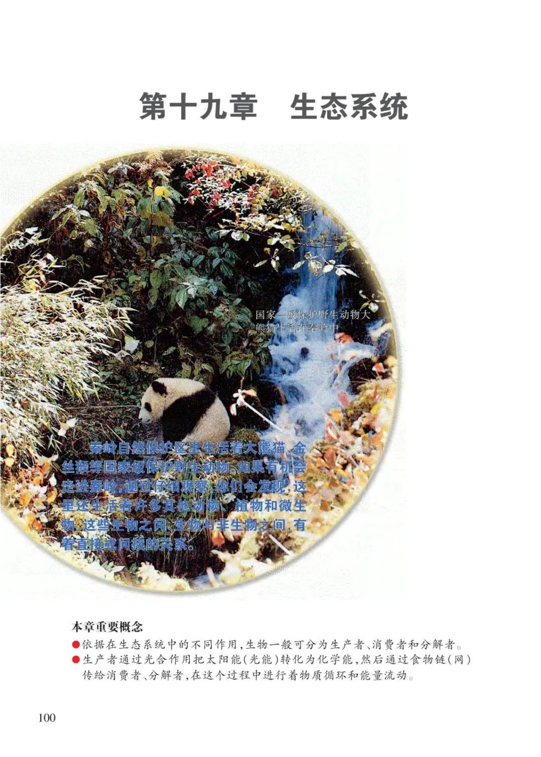 文章配图-16