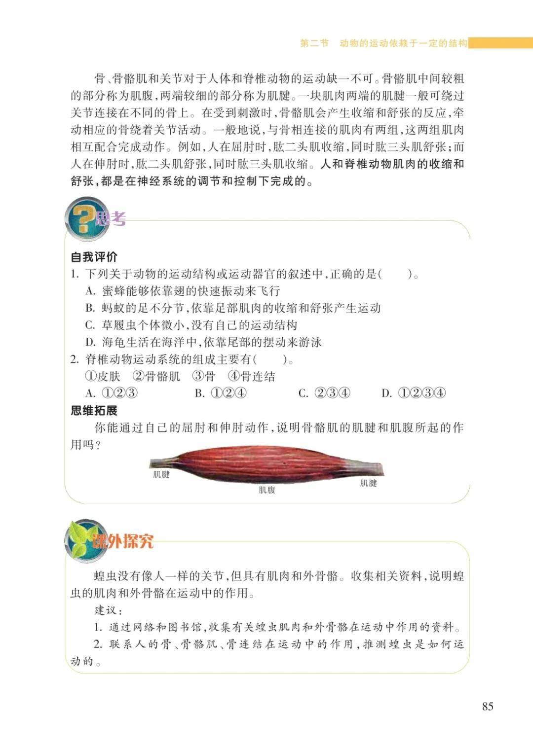 文章配图-3
