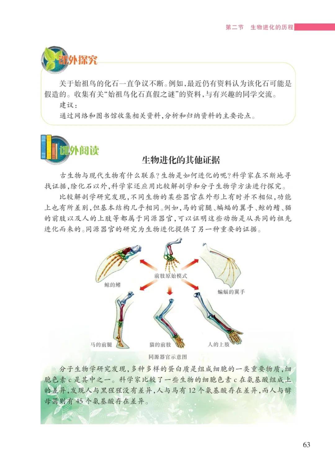 文章配图-61