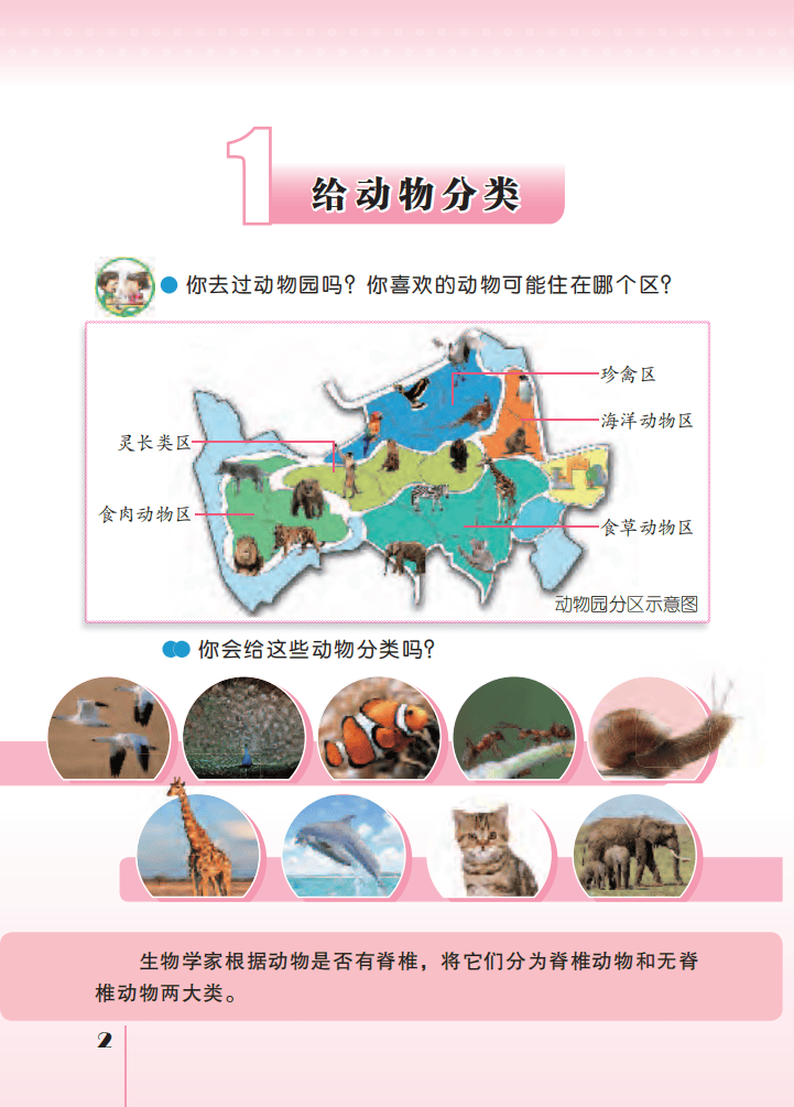 文章配图-6