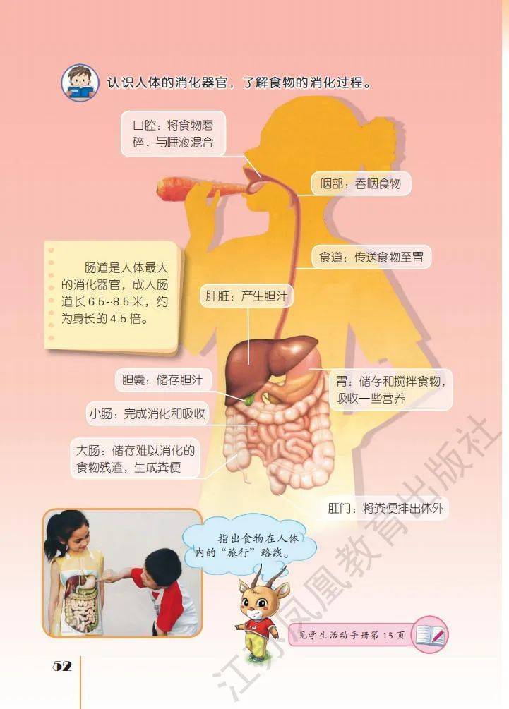 文章配图-50