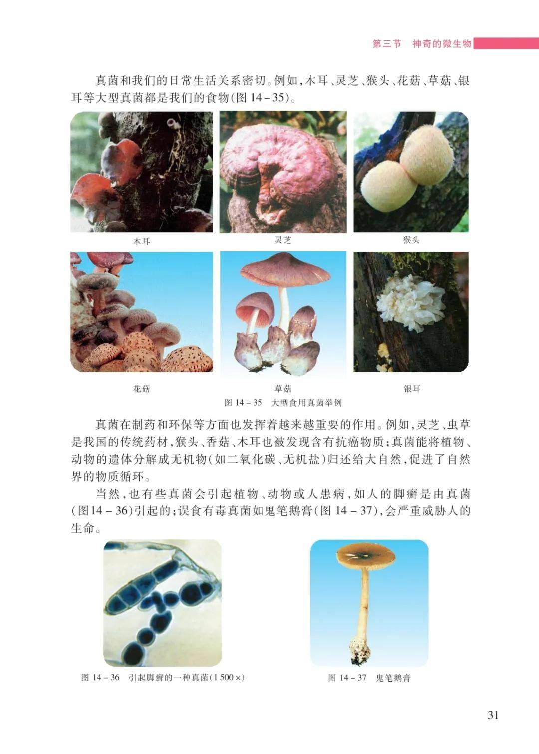 文章配图-29