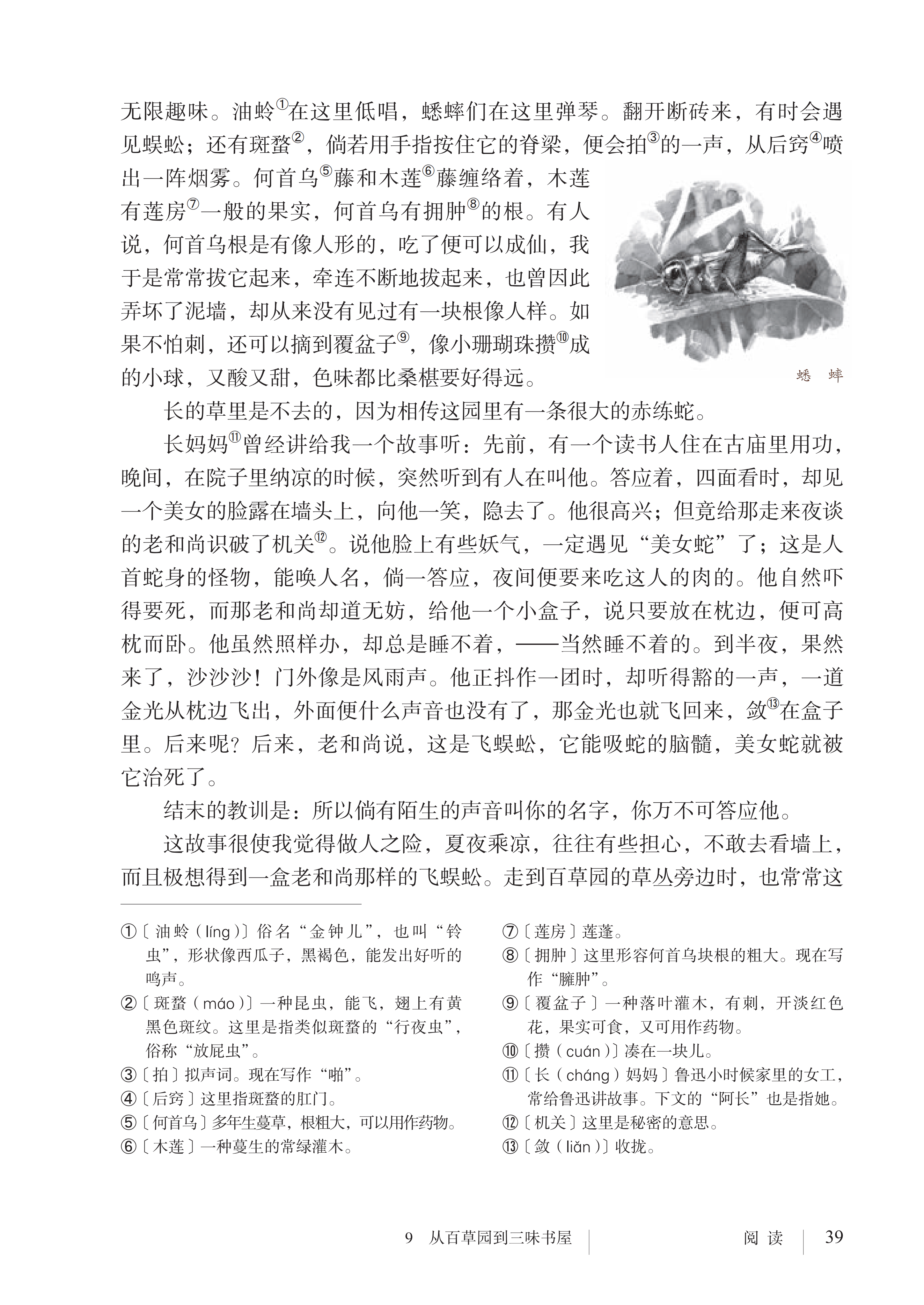 文章配图-1
