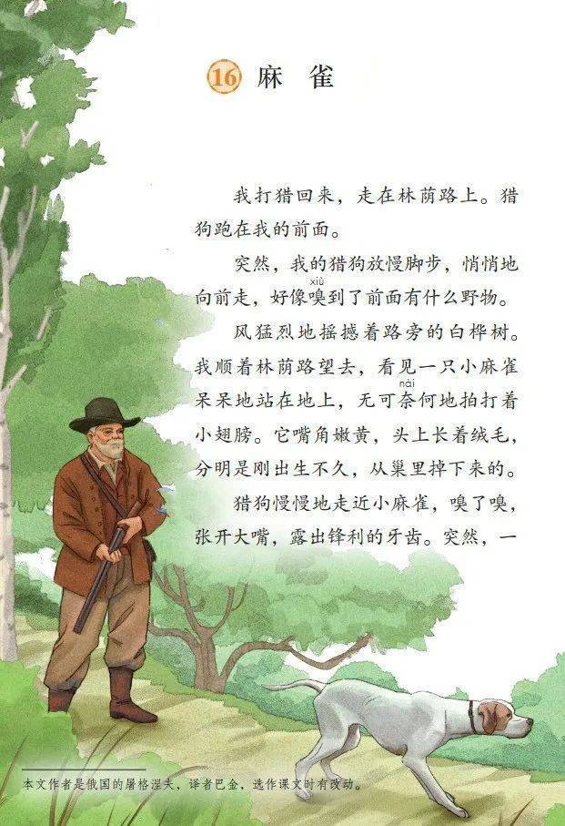 文章配图-1