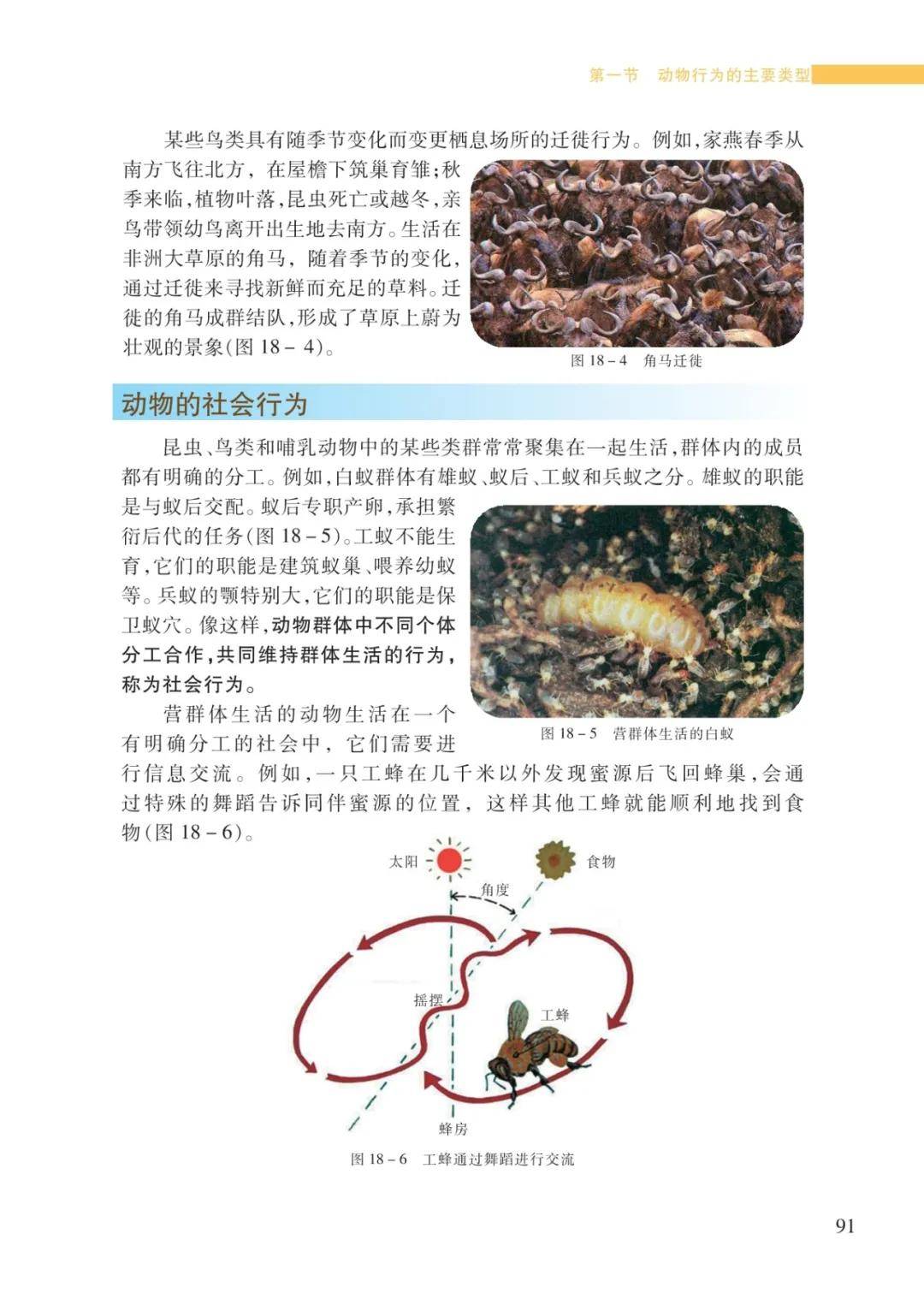 文章配图-7