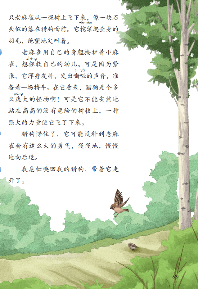 文章配图-1