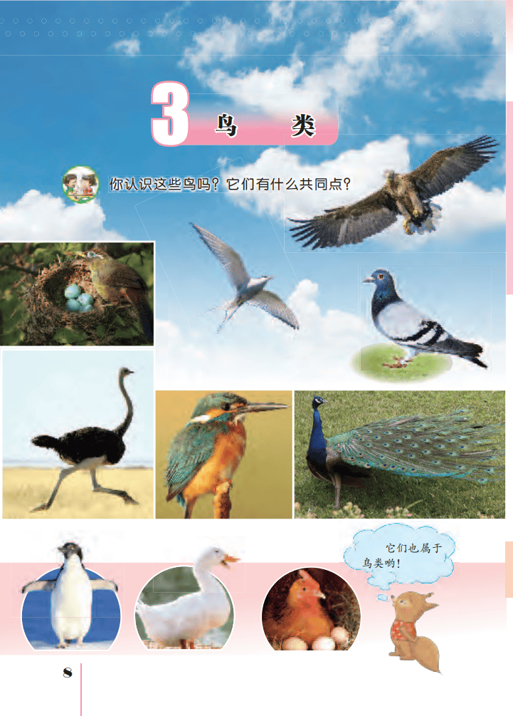 文章配图-12