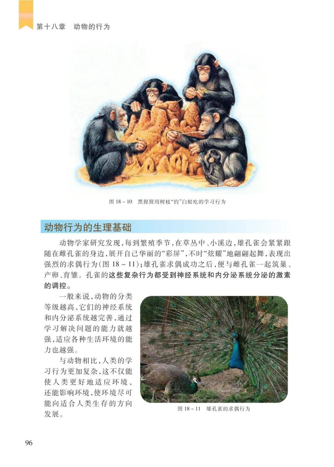 文章配图-12