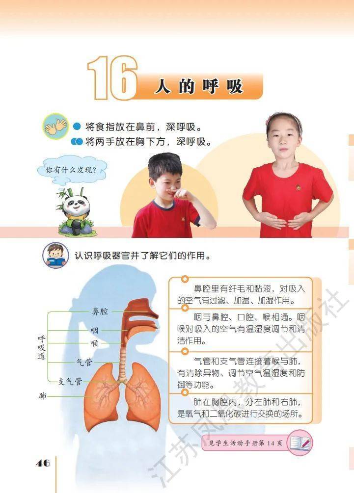 文章配图-44