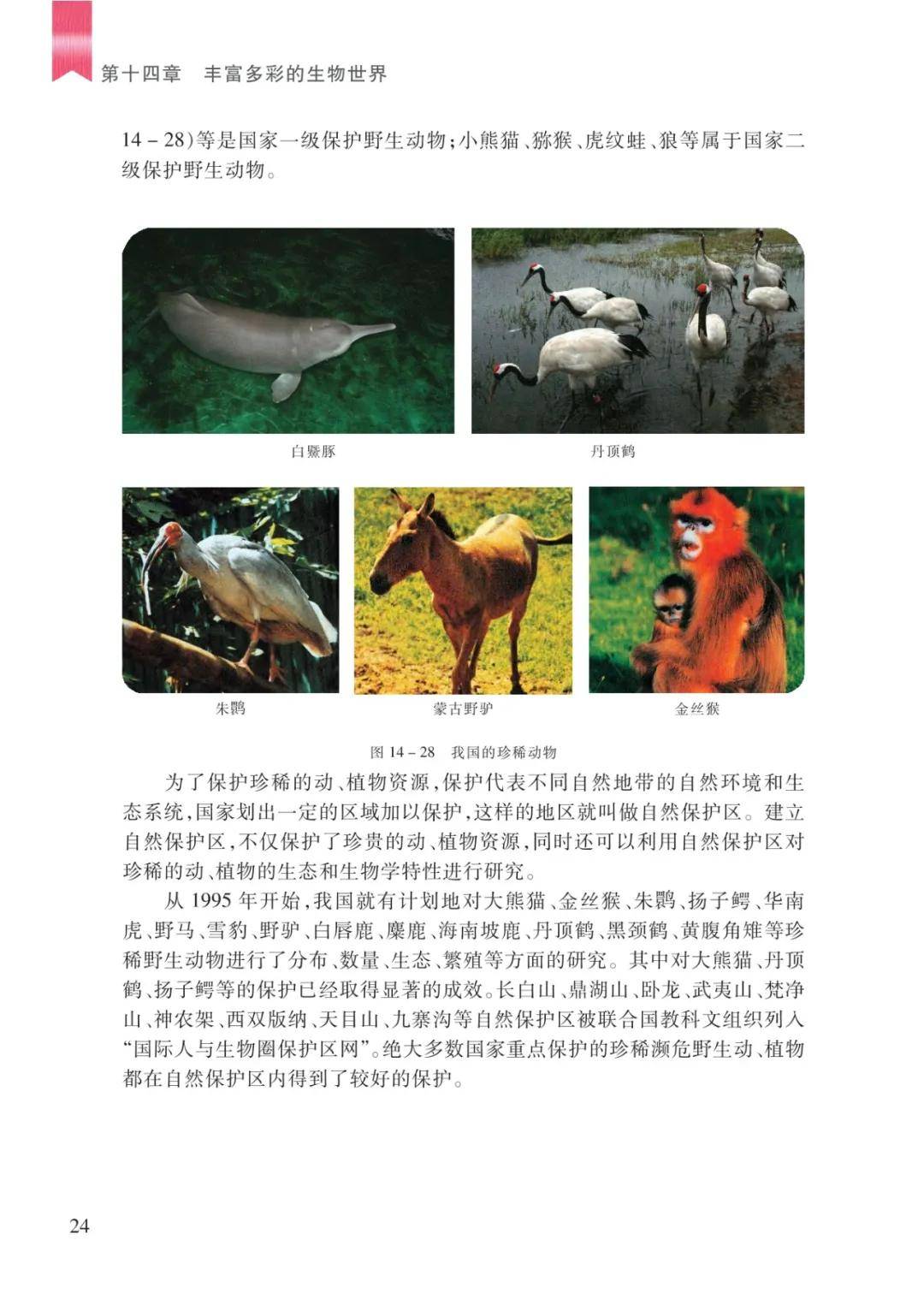 文章配图-22
