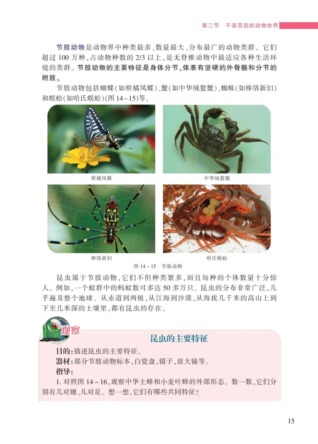 文章配图-15
