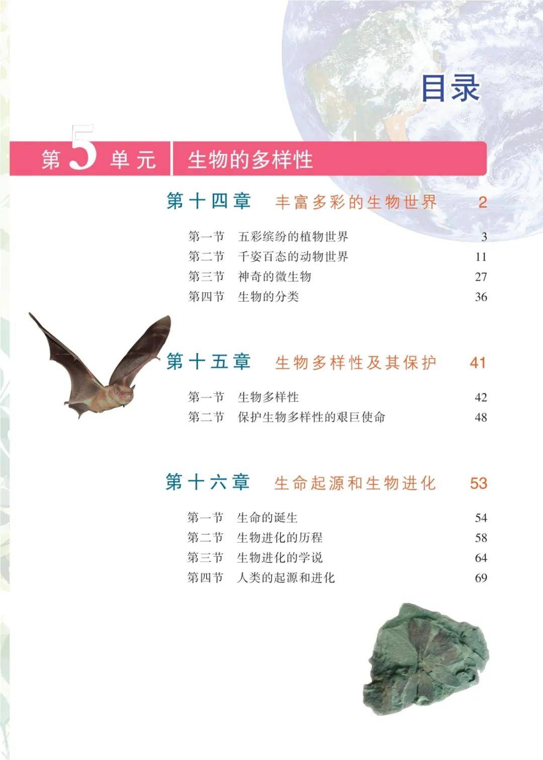 文章配图-2