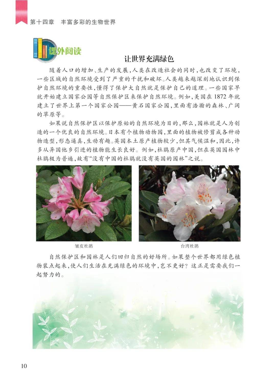 文章配图-10