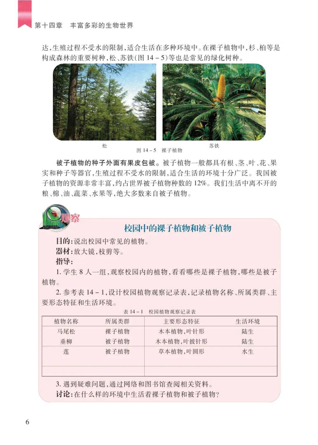 文章配图-6