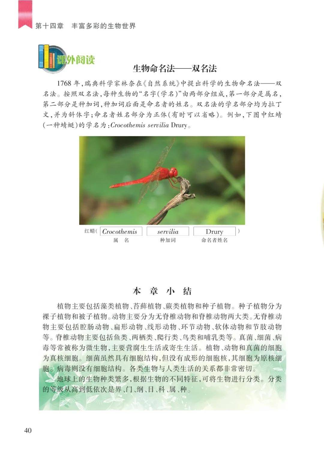 文章配图-38