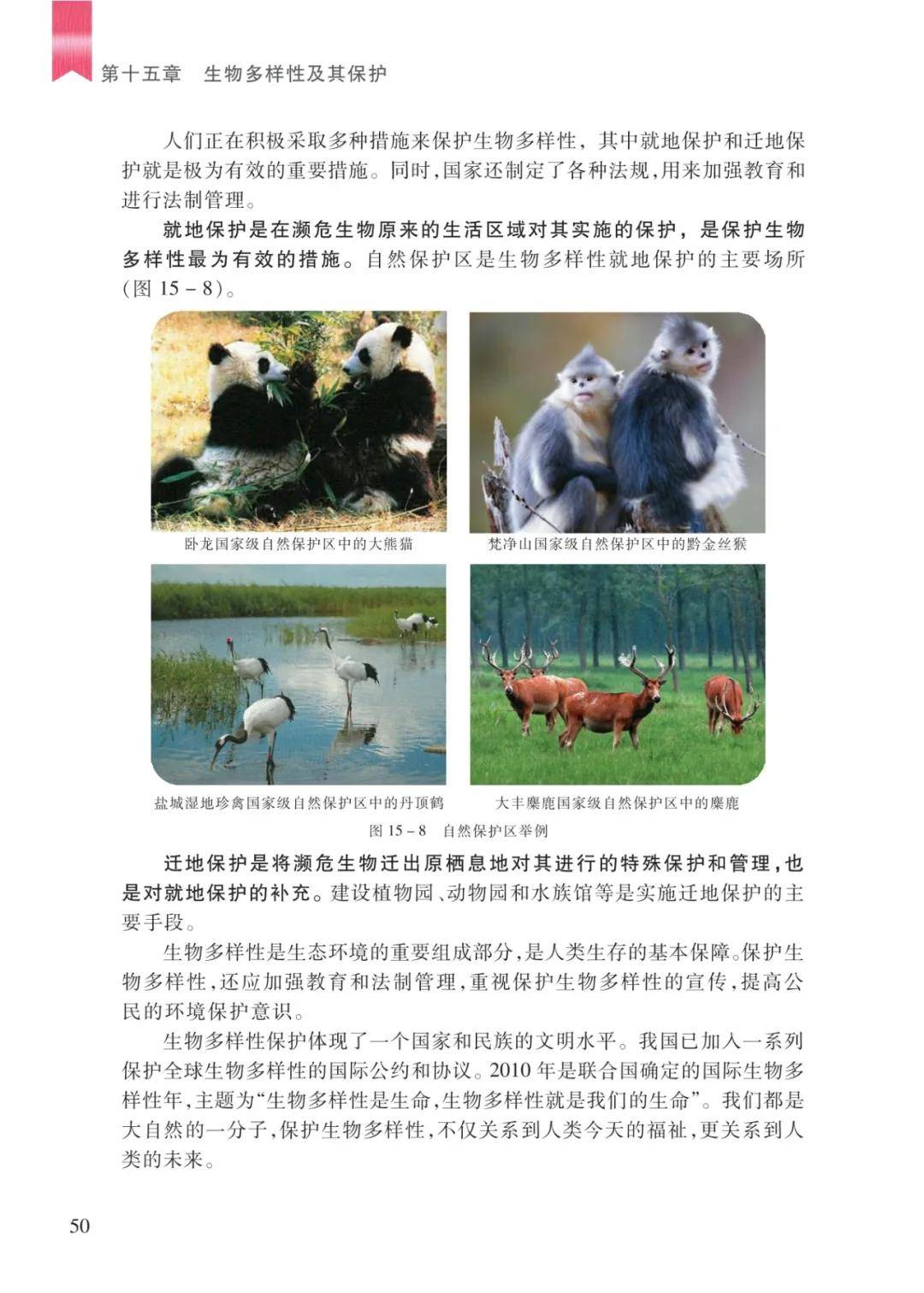 文章配图-48