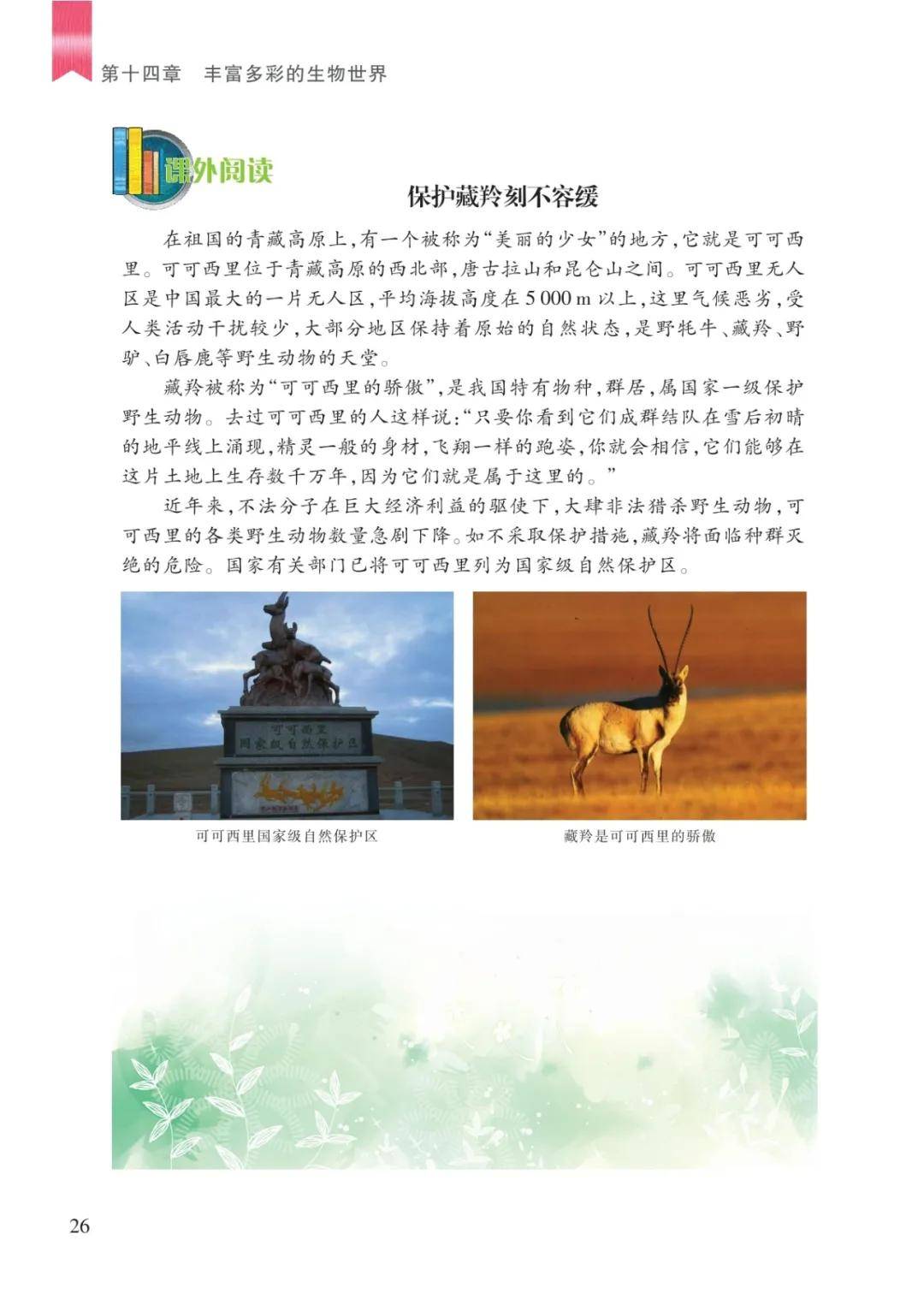 文章配图-24
