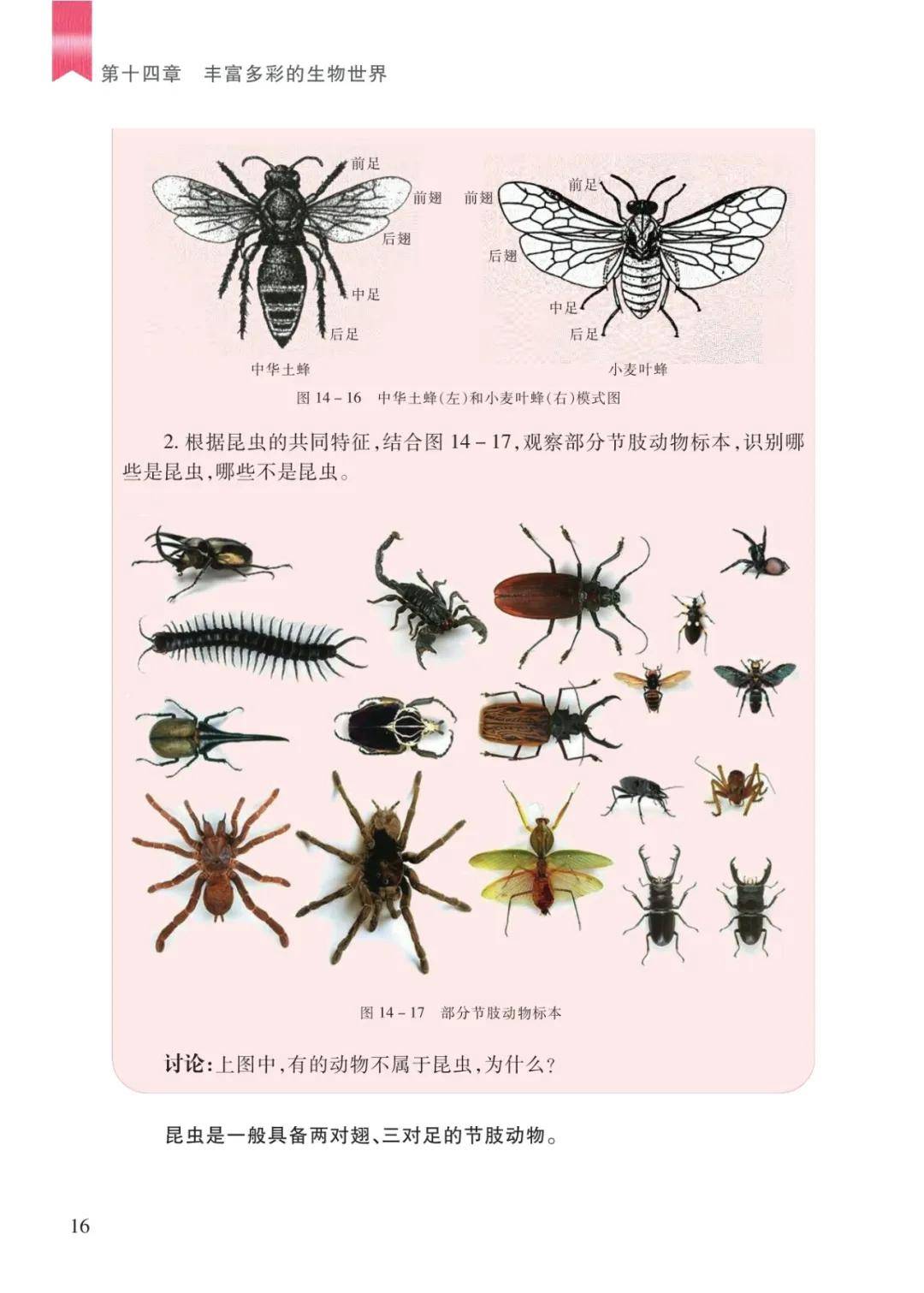 文章配图-14