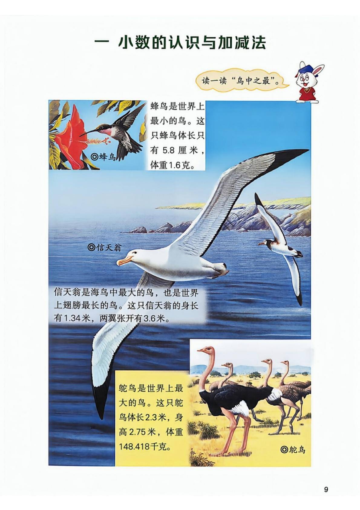 26秋季新版冀教版数学五年级上册课本-逐页转图片-00010.jpg