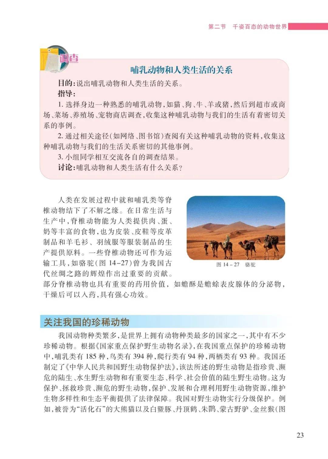 文章配图-21