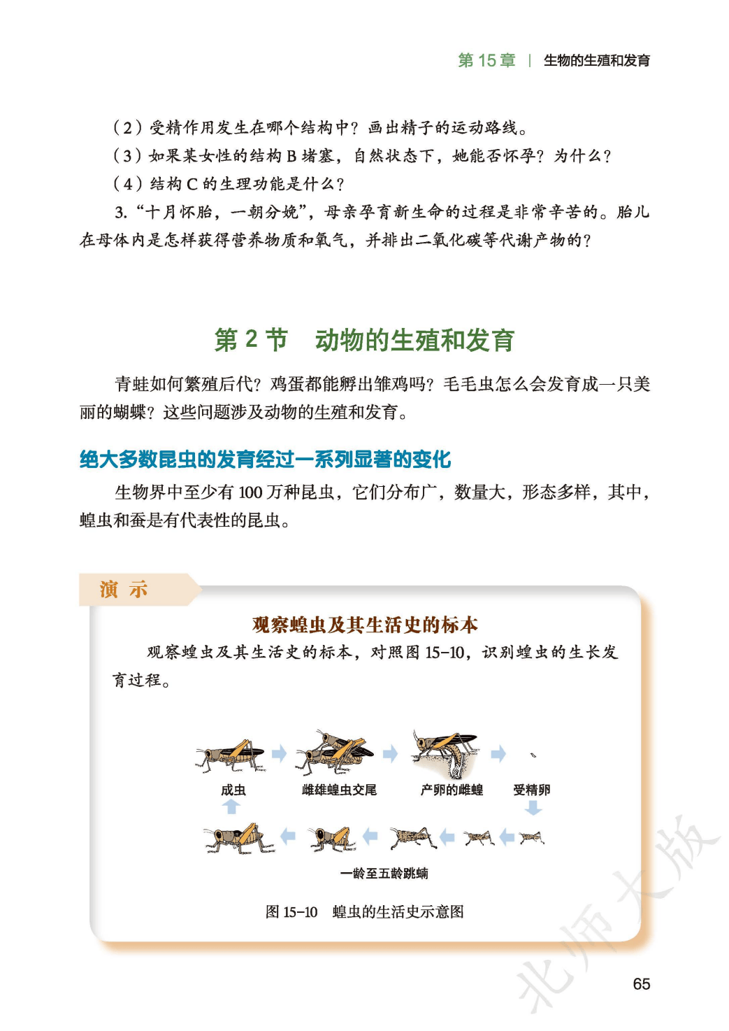 文章配图-1