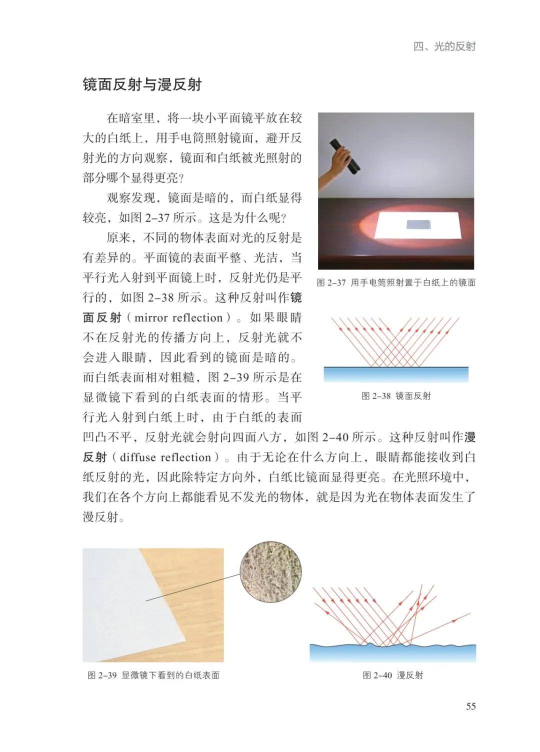 文章配图-58