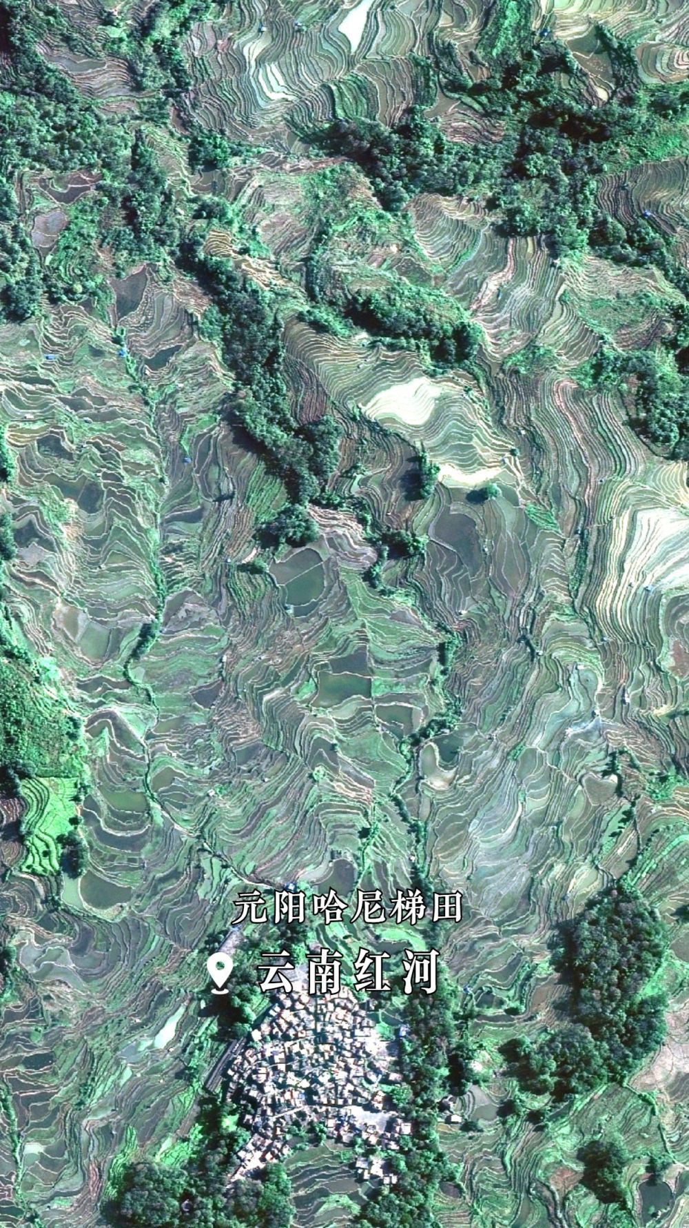 云南省红河哈尼族彝族自治州元阳哈尼梯田。
