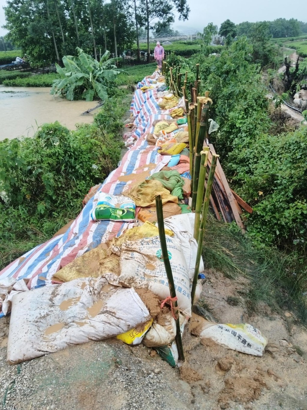 台风“美莎克”来袭时，飘竹村靠近郁江的一处堤坝上，村民们连夜加高约一米的防洪堤。 受访者供图