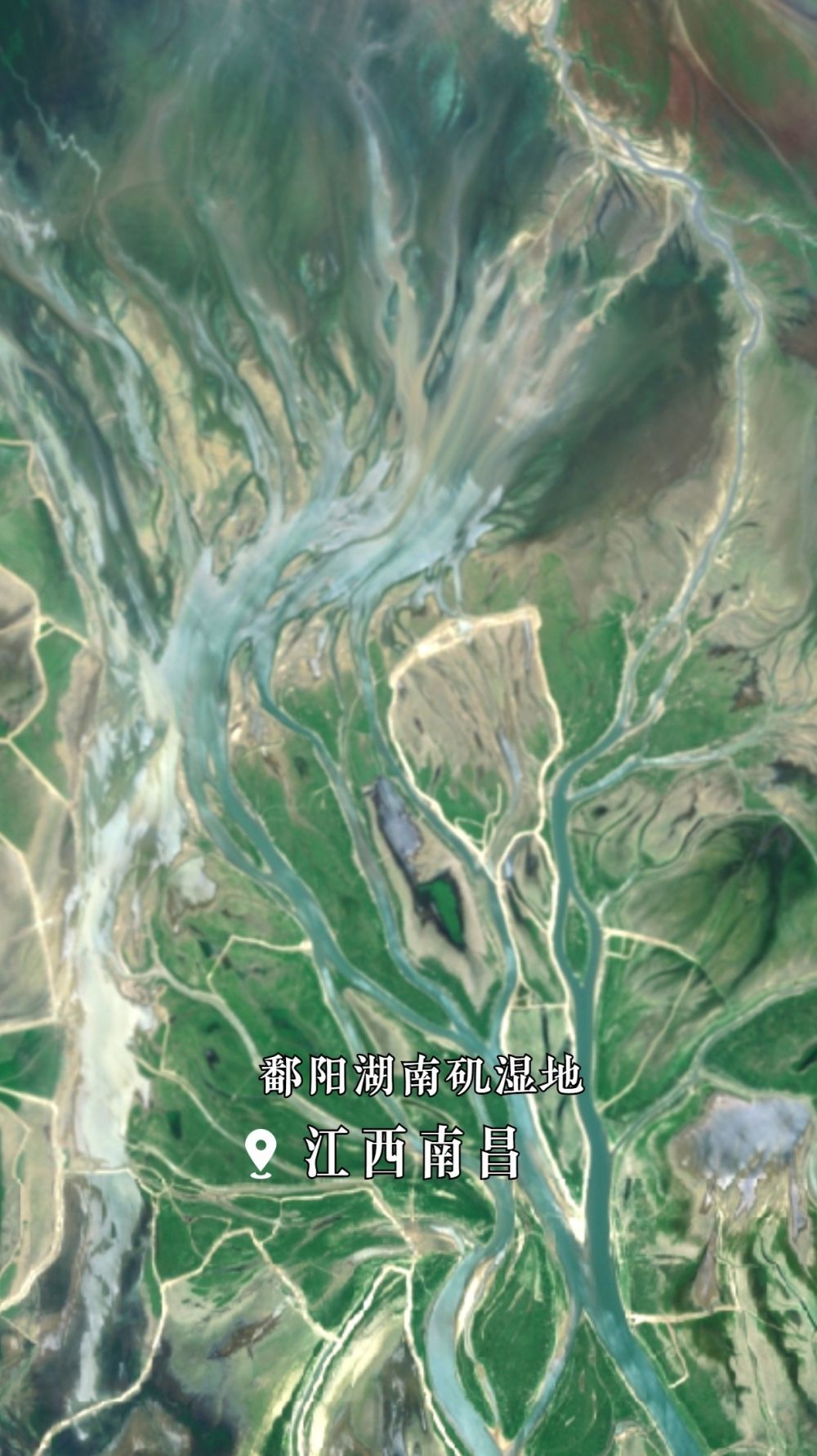 江西省南昌市鄱阳湖南矶湿地。