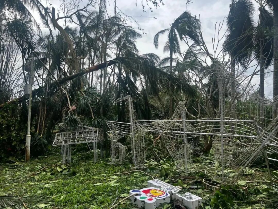 ◎ 2024年，台风“摩羯”摧毁了海南热带野生动植物园99%的热带雨林景观和微生态系统｜图源：海南热带野生动植物园官方公众号